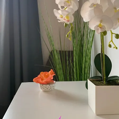 Bed & Breakfast Bedroom With Shared Bathroom And Swimming Pool *